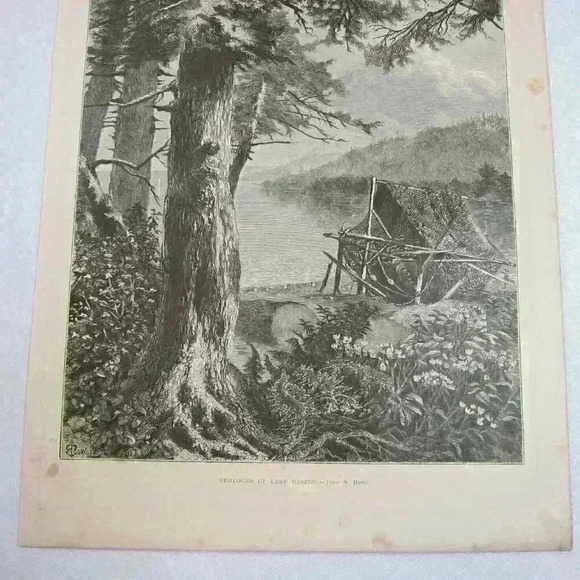 Art Print Hemlock Trees Lake Otsego New York Nature John A. Hows Antique 1874 - Picture 4 of 12